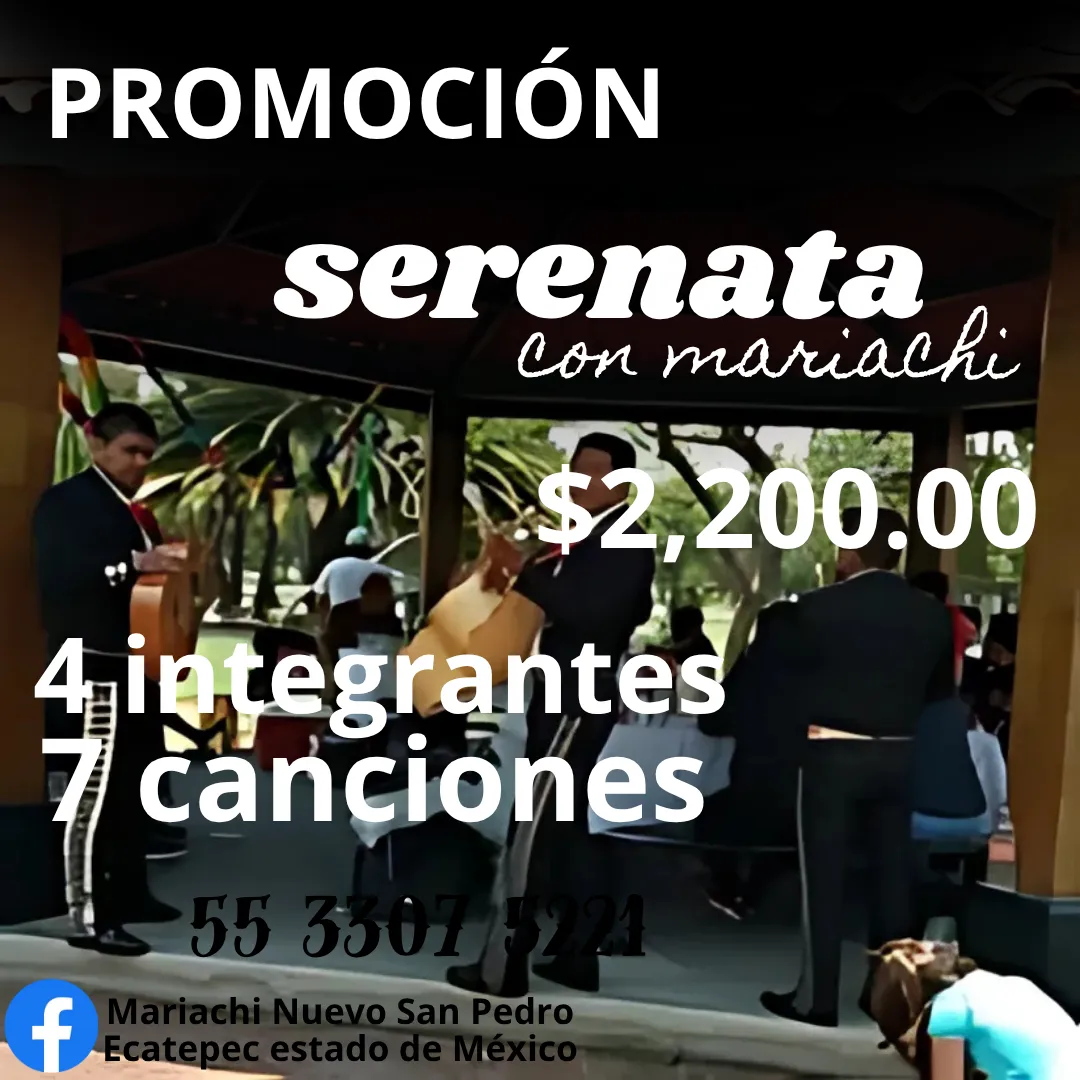 Diseño 21