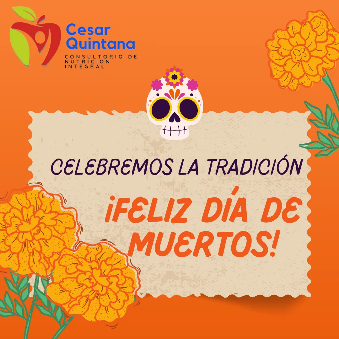 Diseño 18