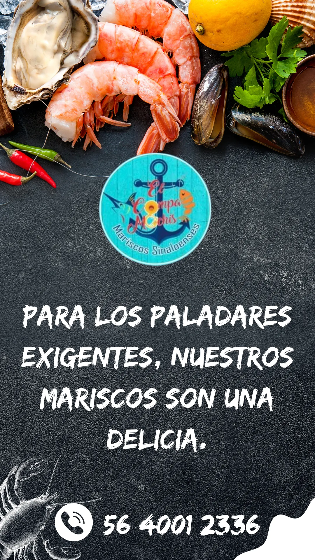Diseño 15