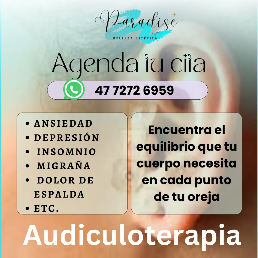 Diseño 93