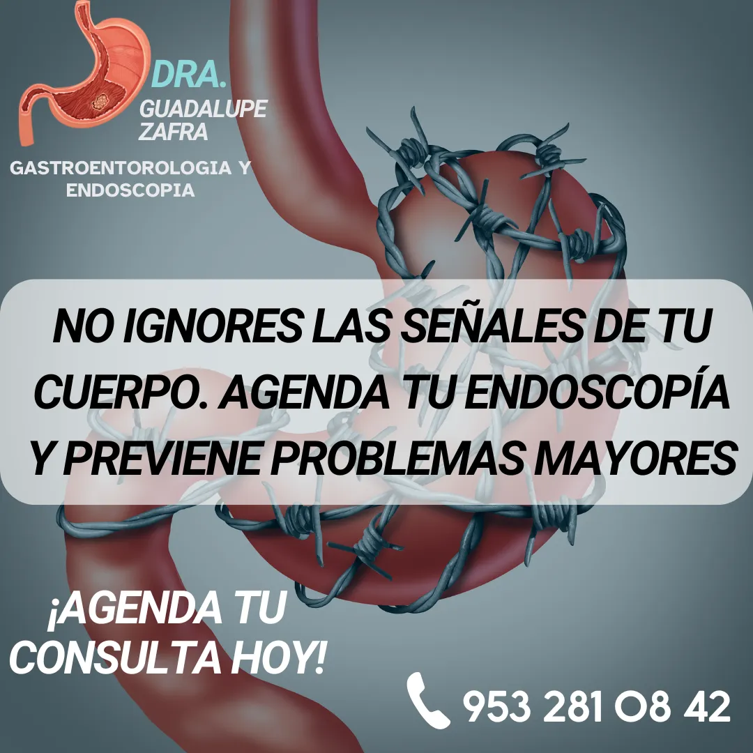 Diseño 29