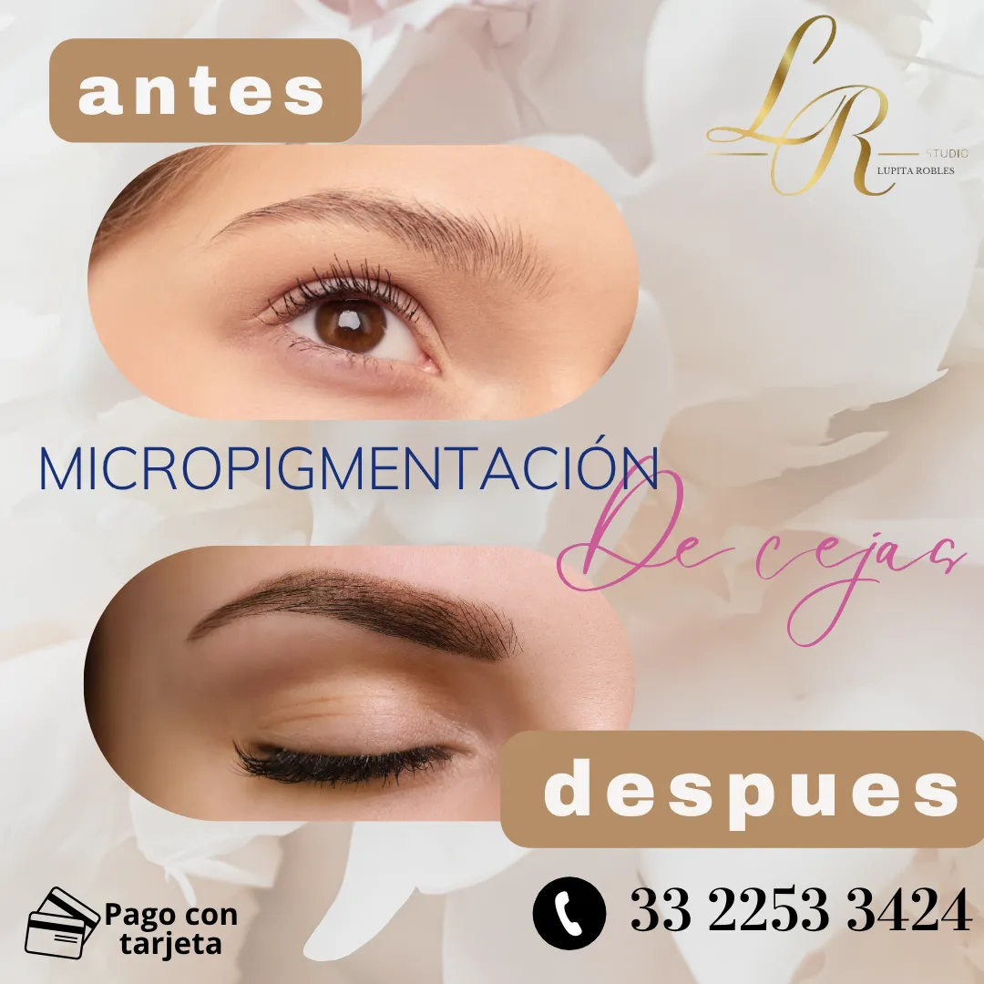 Diseño 77