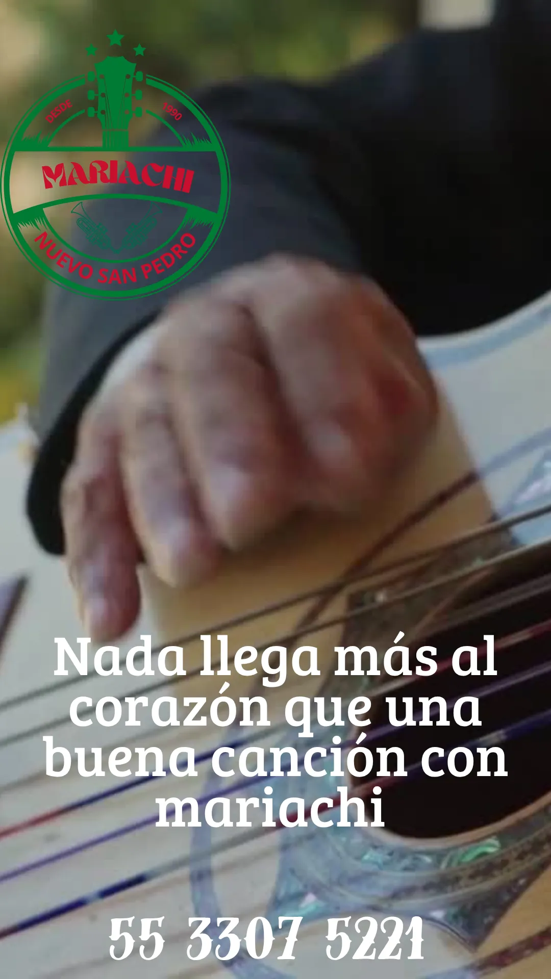 Diseño 50