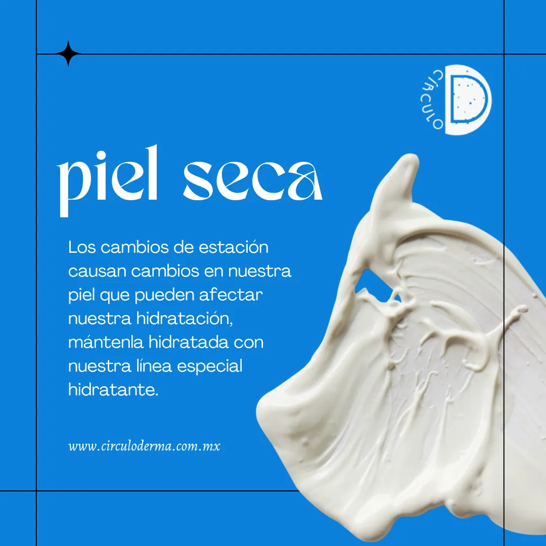 Diseño 2