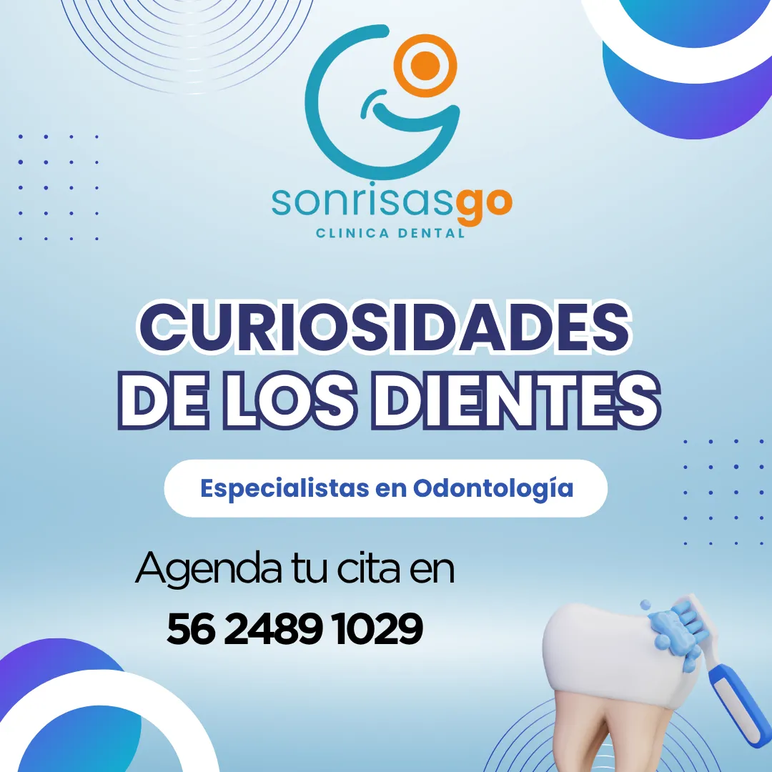 Diseño 24