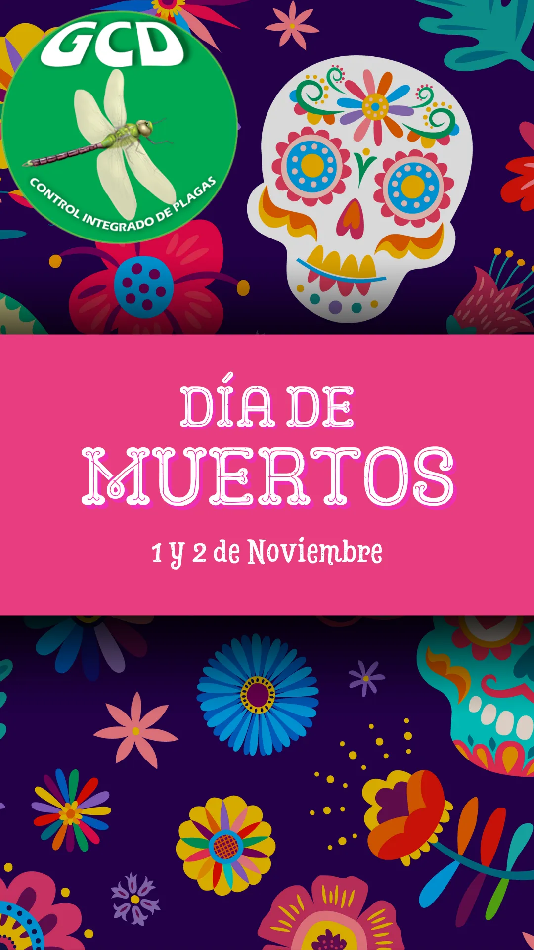 Diseño 123
