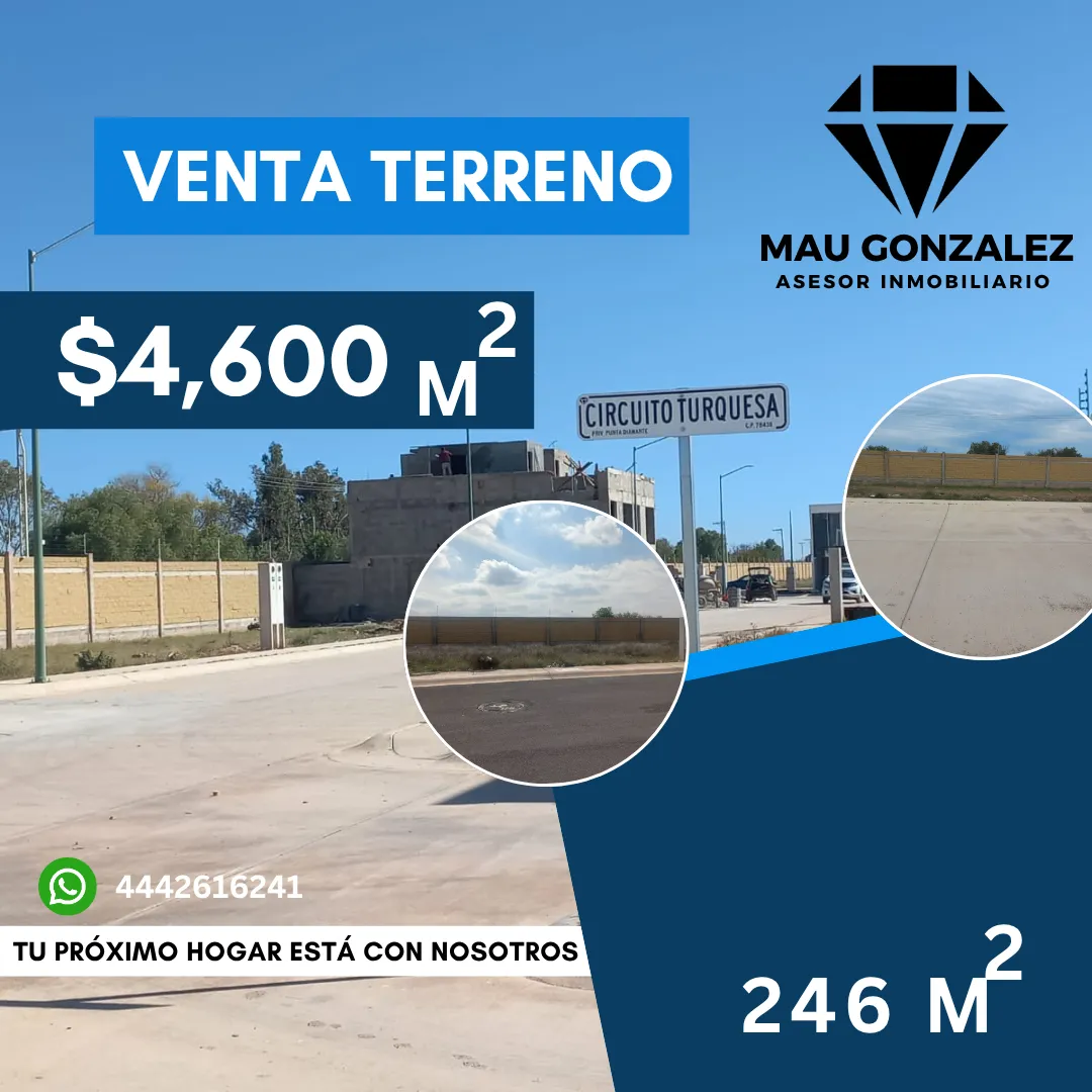 Diseño 20