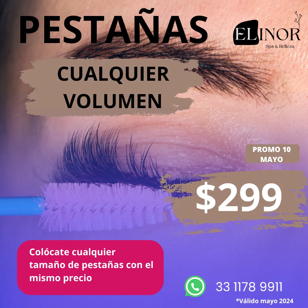 Diseño 6