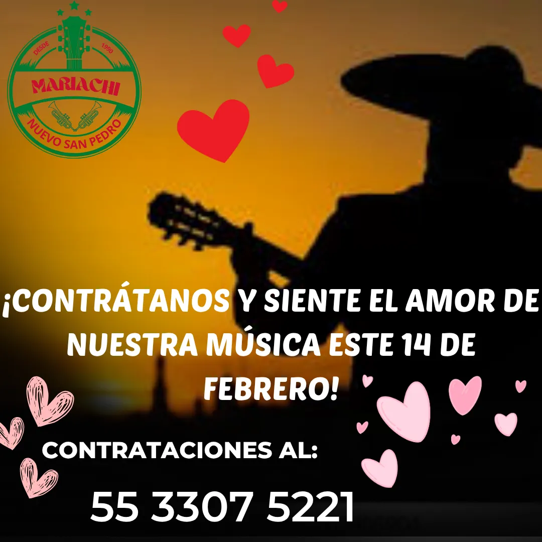 Diseño 17