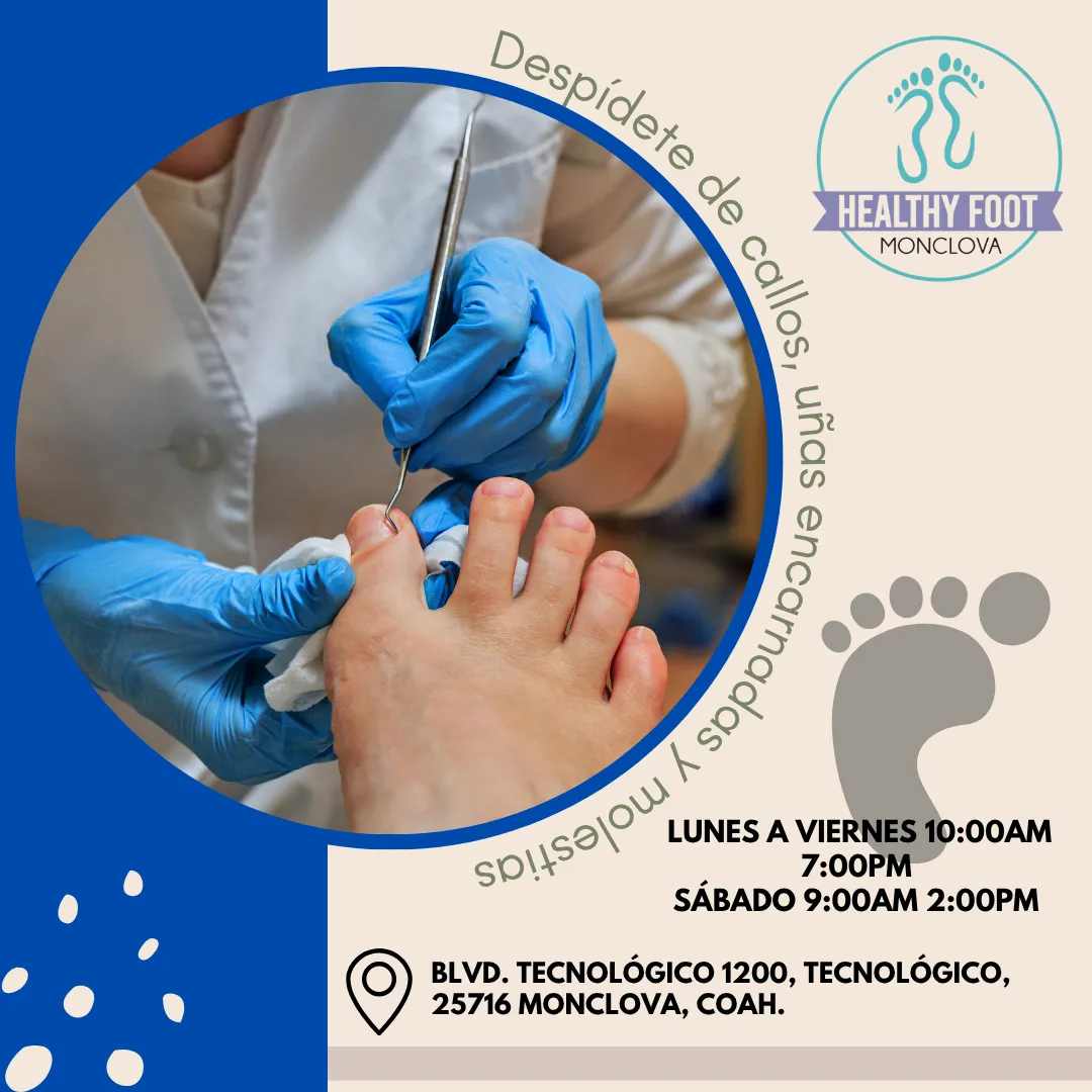 Diseño 122