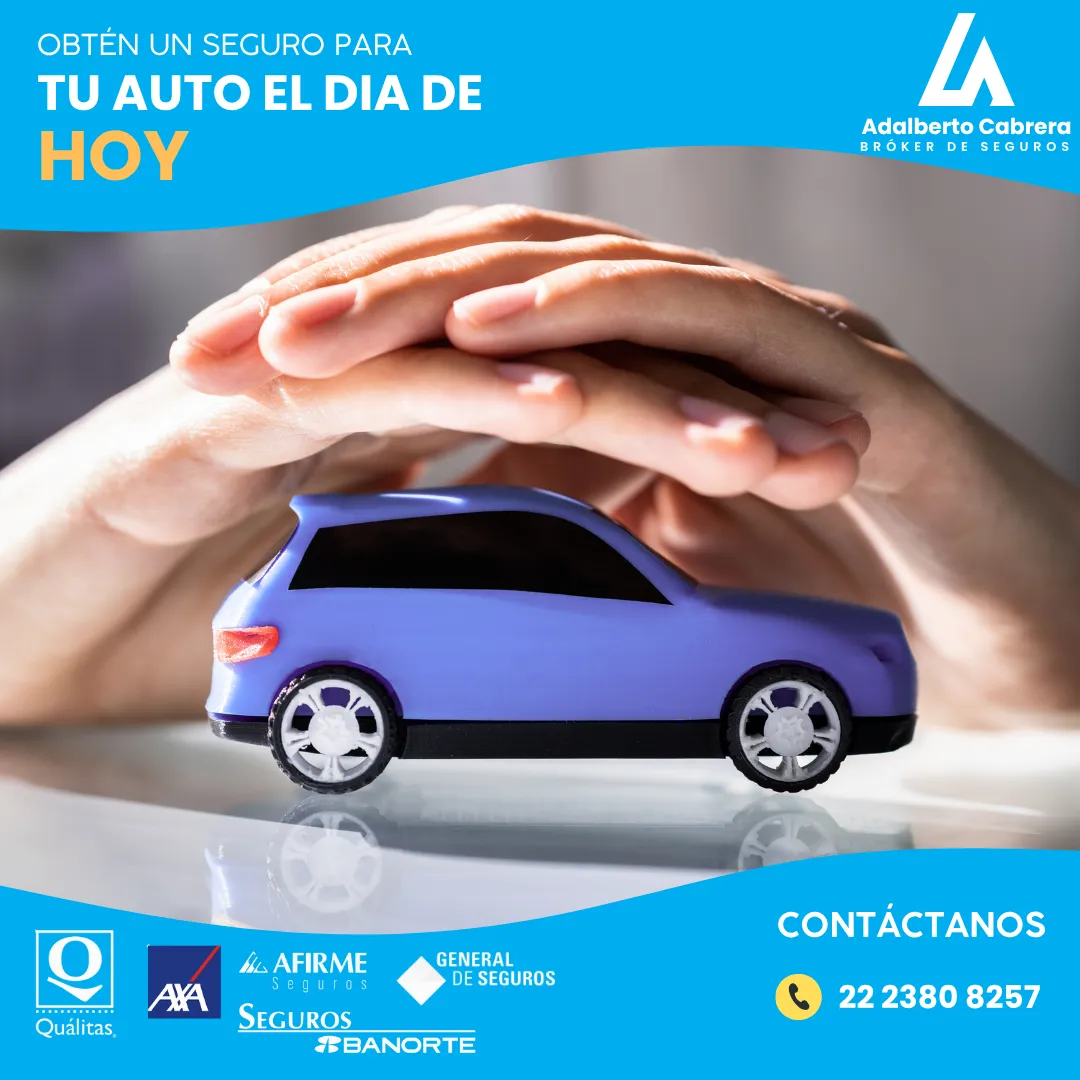 Diseño 8