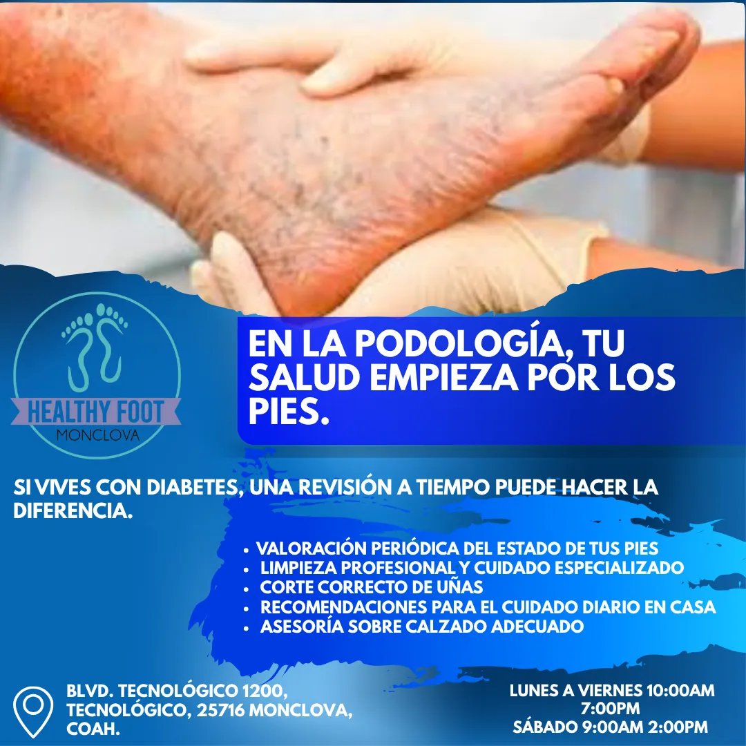 Diseño 144