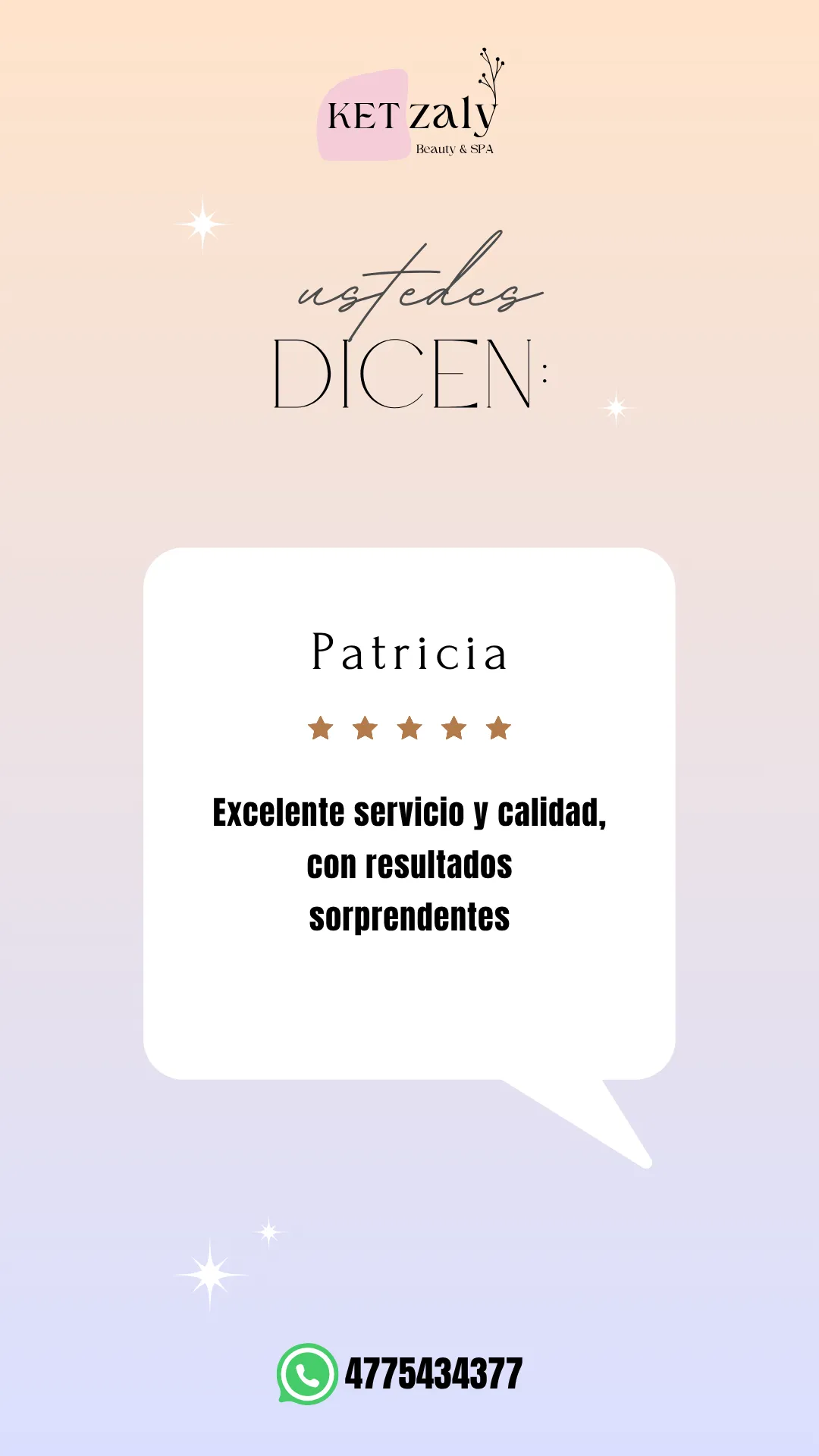 Diseño 51