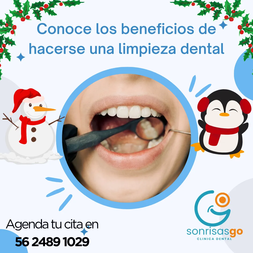 Diseño 51