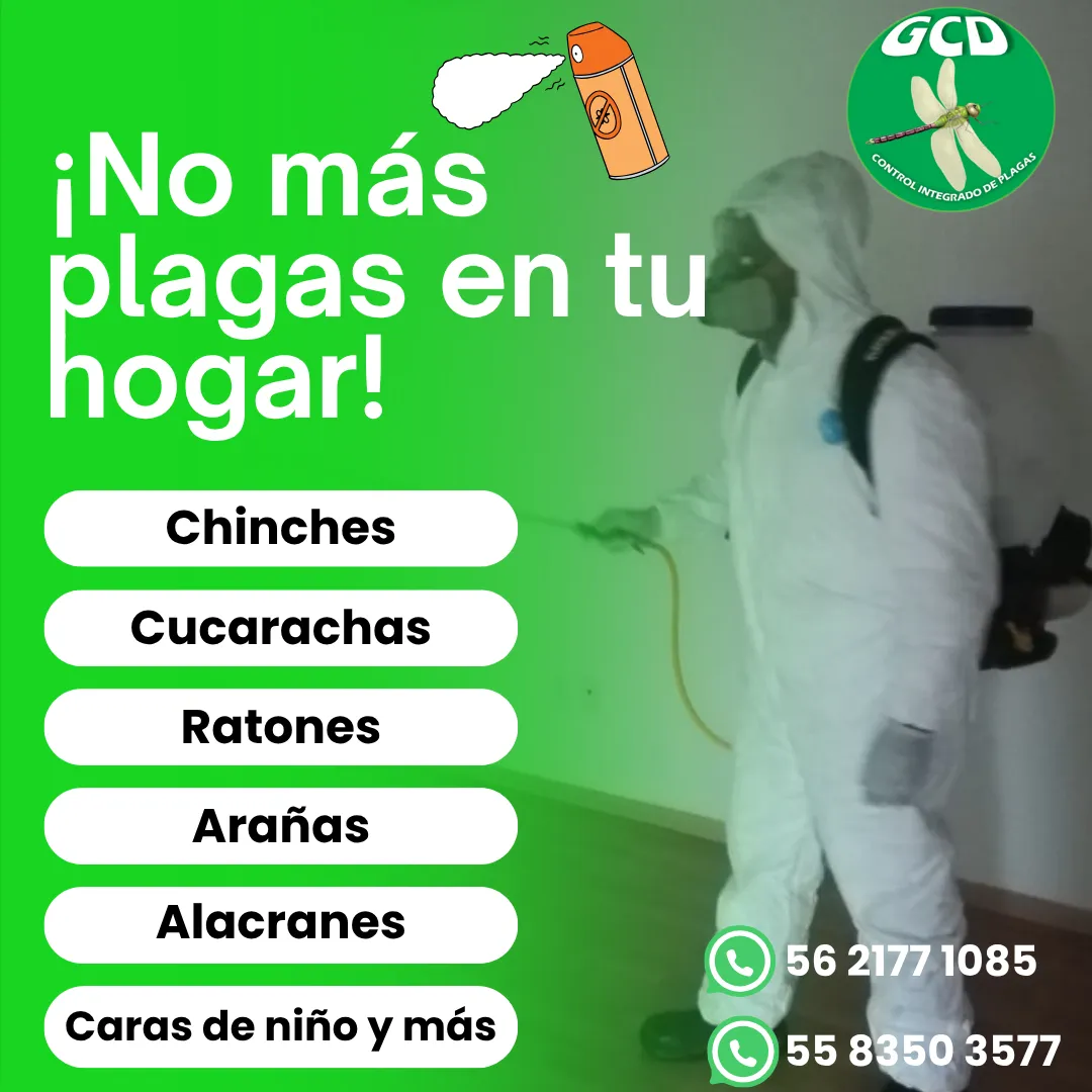 Diseño 68