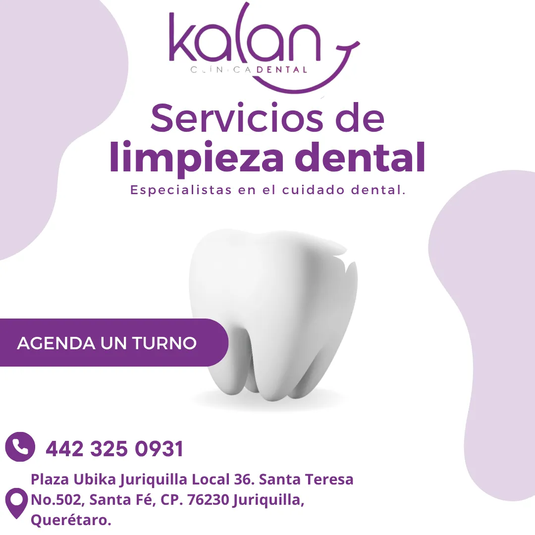 Diseño 8