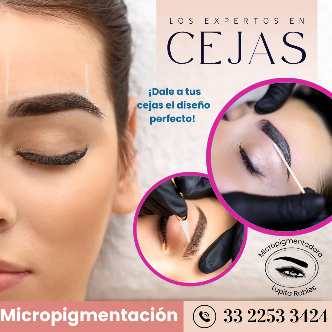 Diseño 49