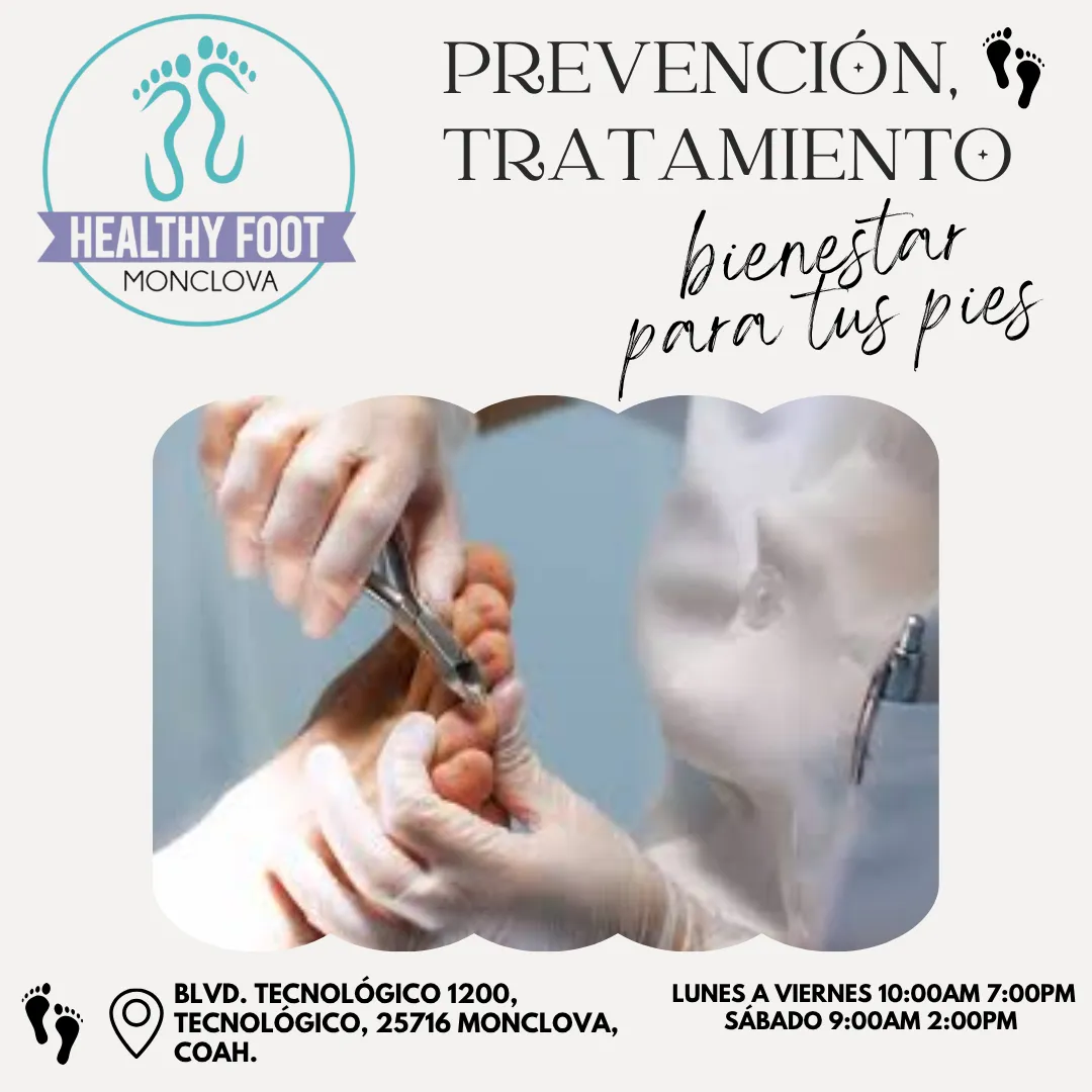 Diseño 105
