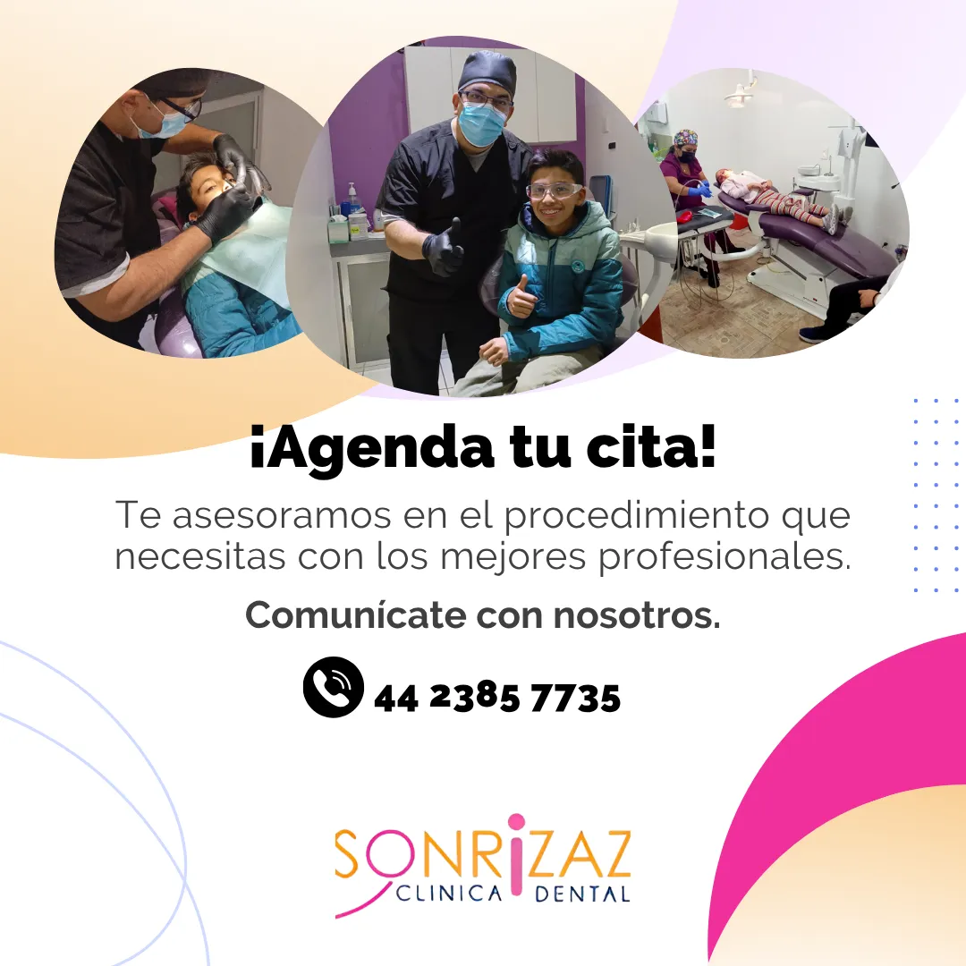 Diseño 61