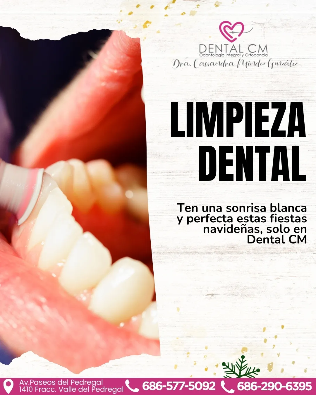 Diseño 14