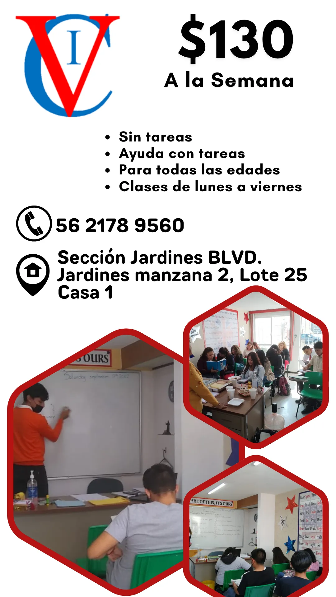 Diseño 103