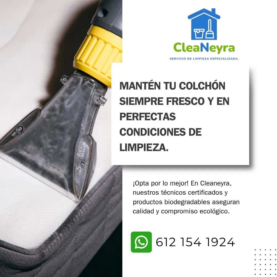Diseño 12