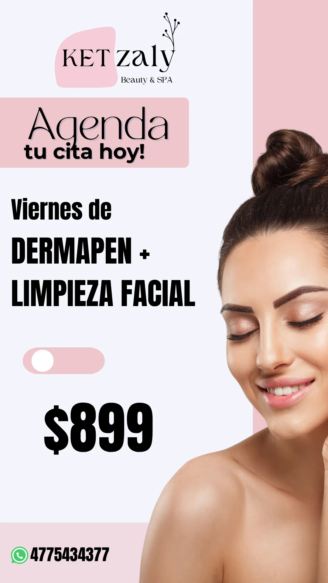 Diseño 29