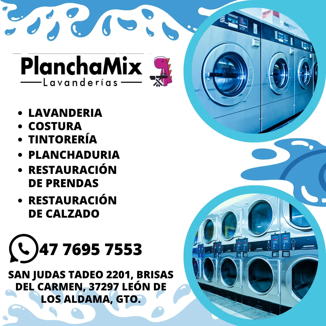 Diseño 31