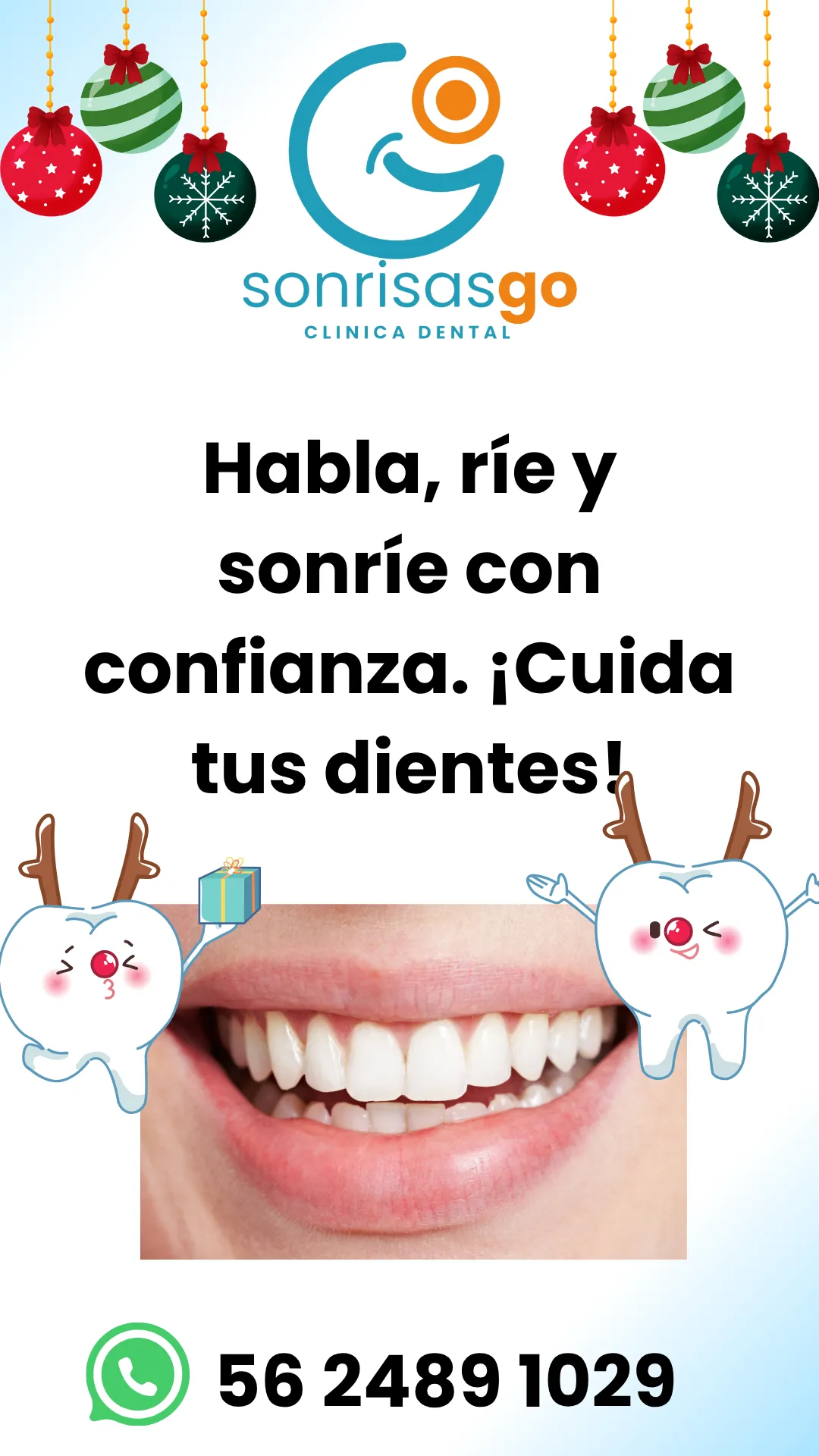 Diseño 41