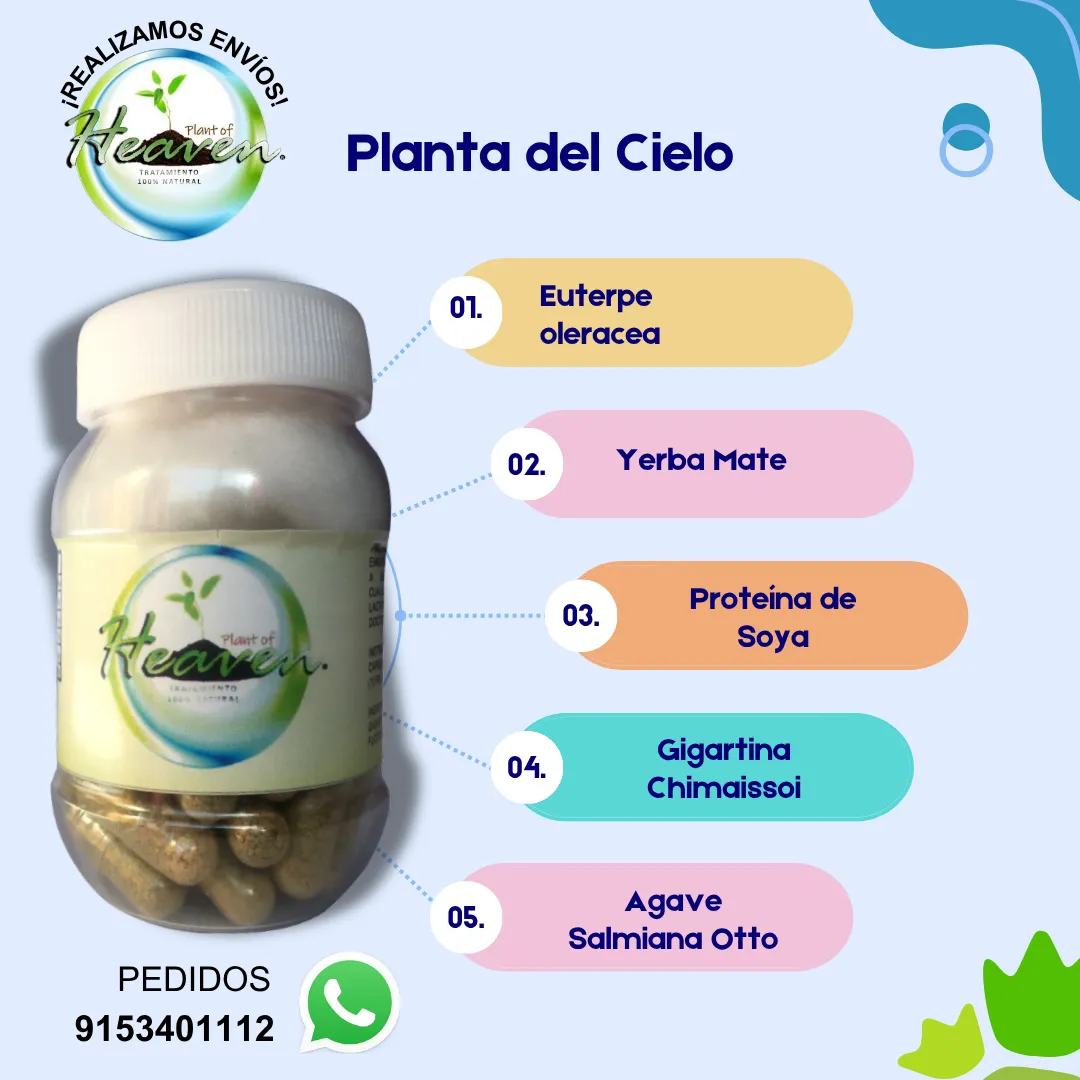 Diseño 12