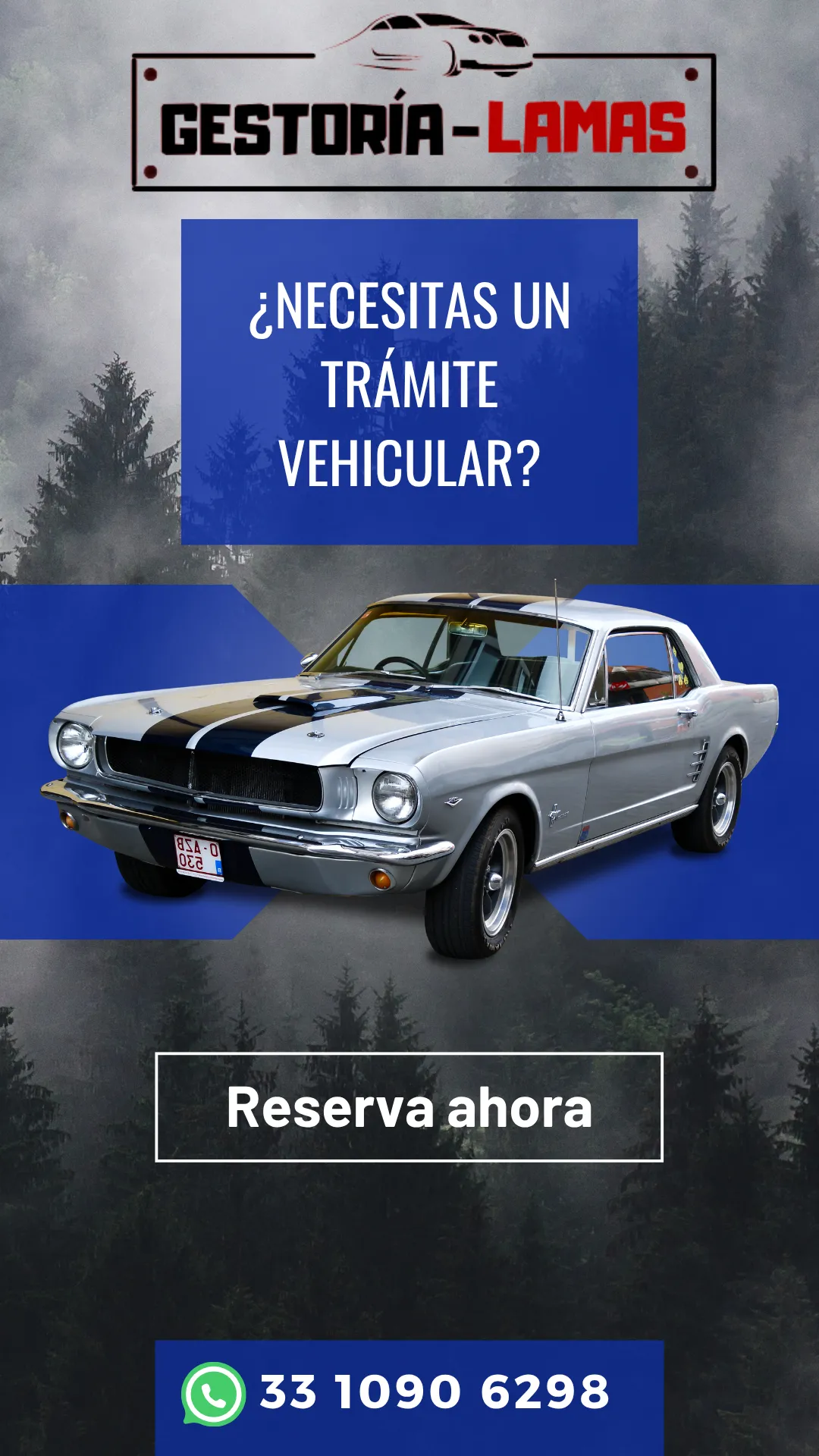 Diseño 55