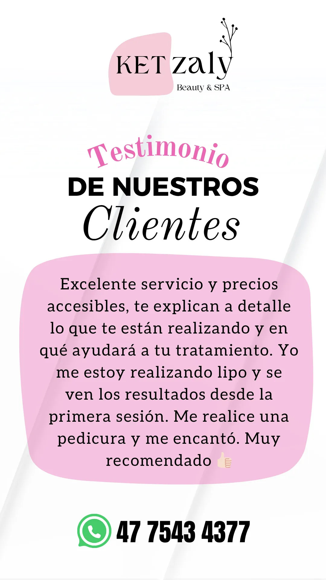 Diseño 87