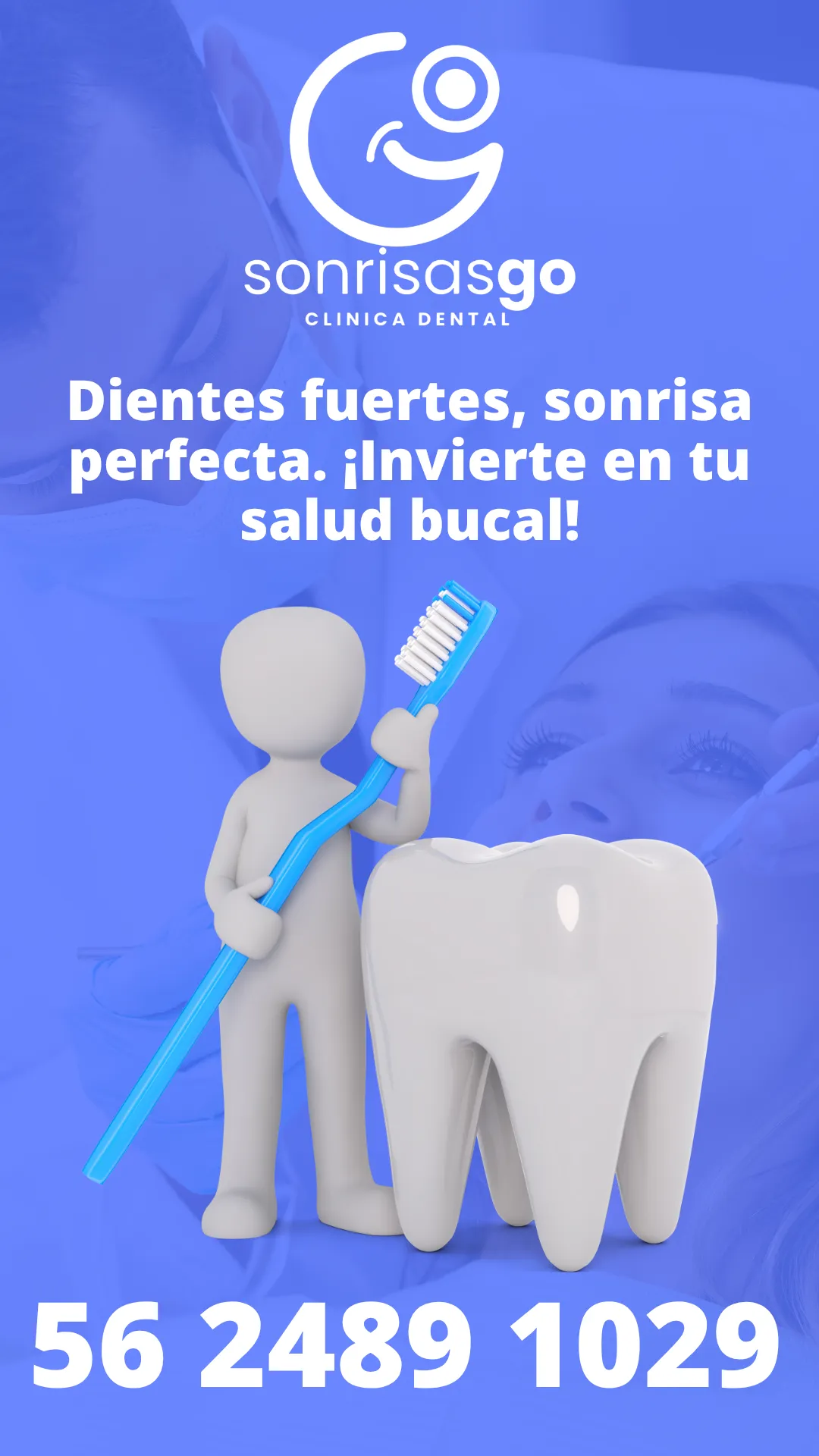 Diseño 116