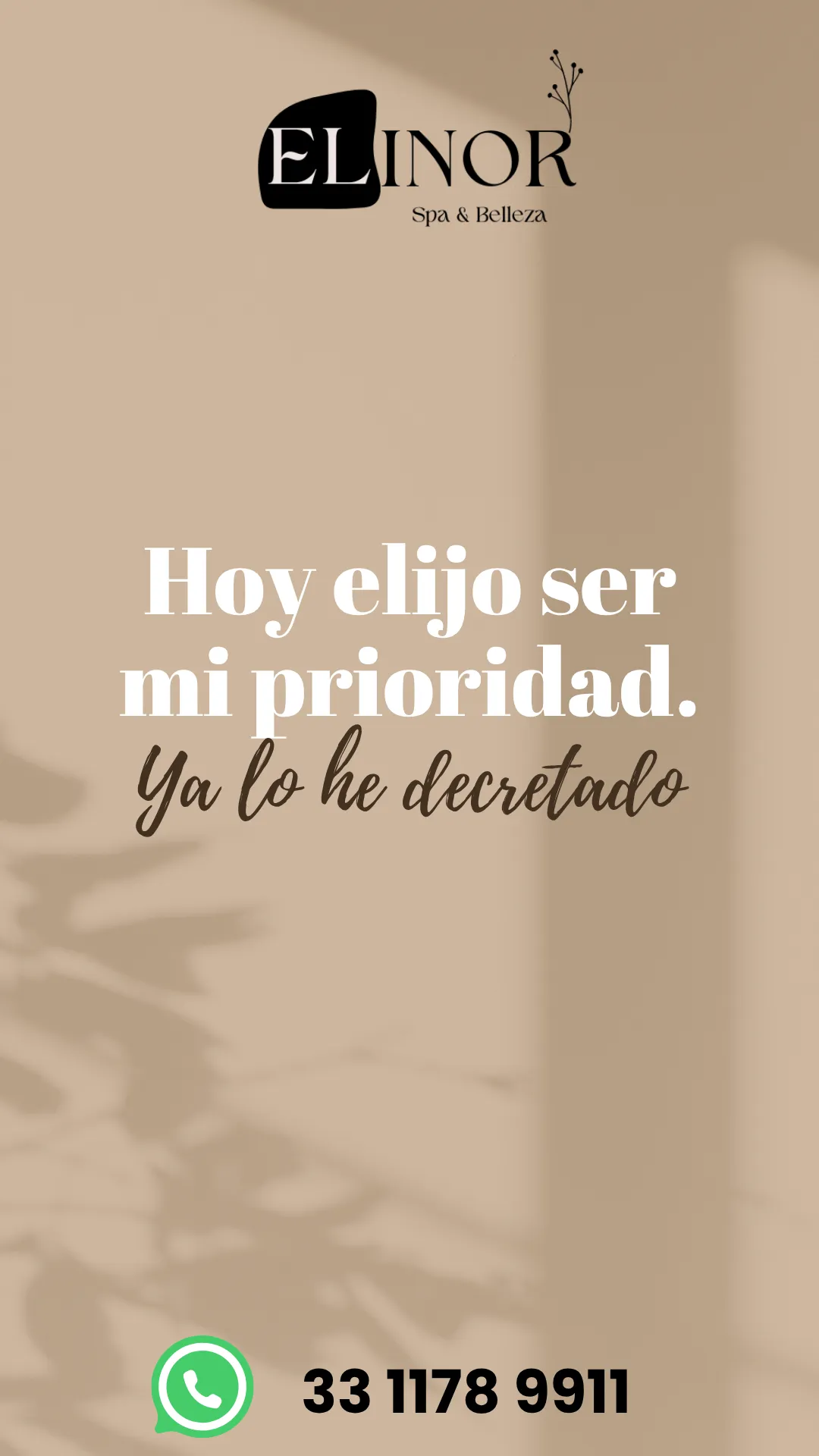 Diseño 79