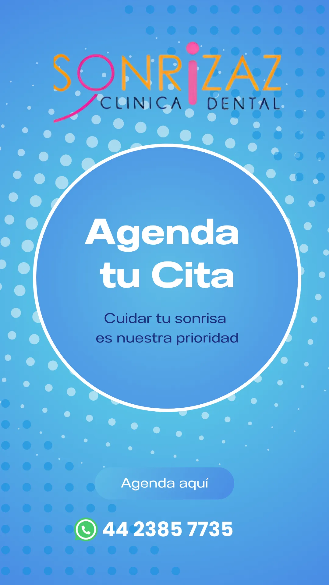 Diseño 115