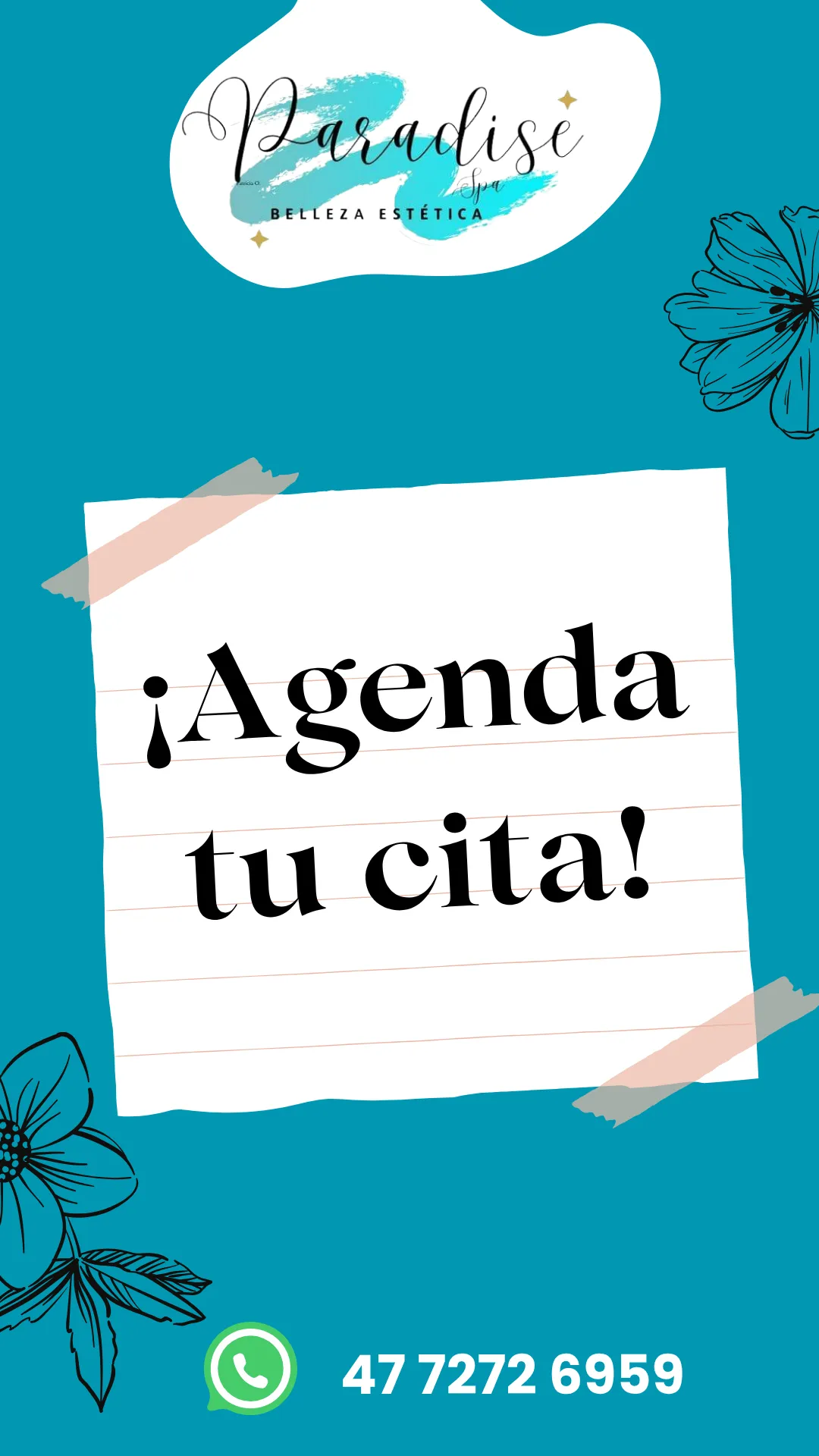 Diseño 50
