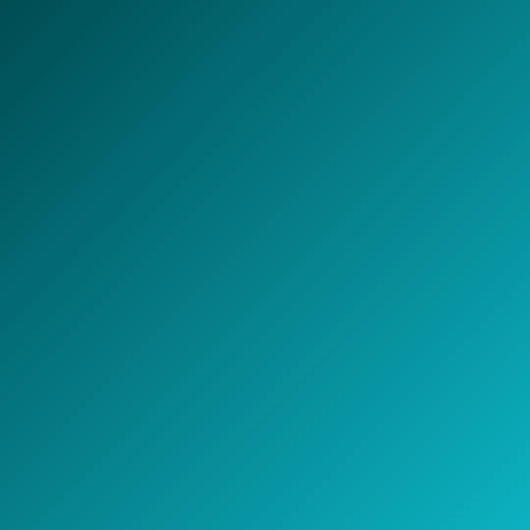 Diseño 51