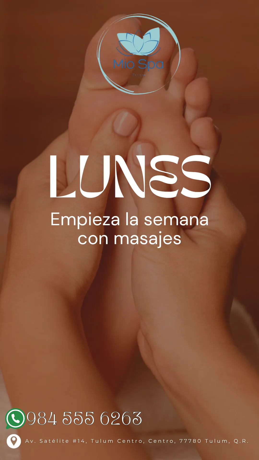 Diseño 29