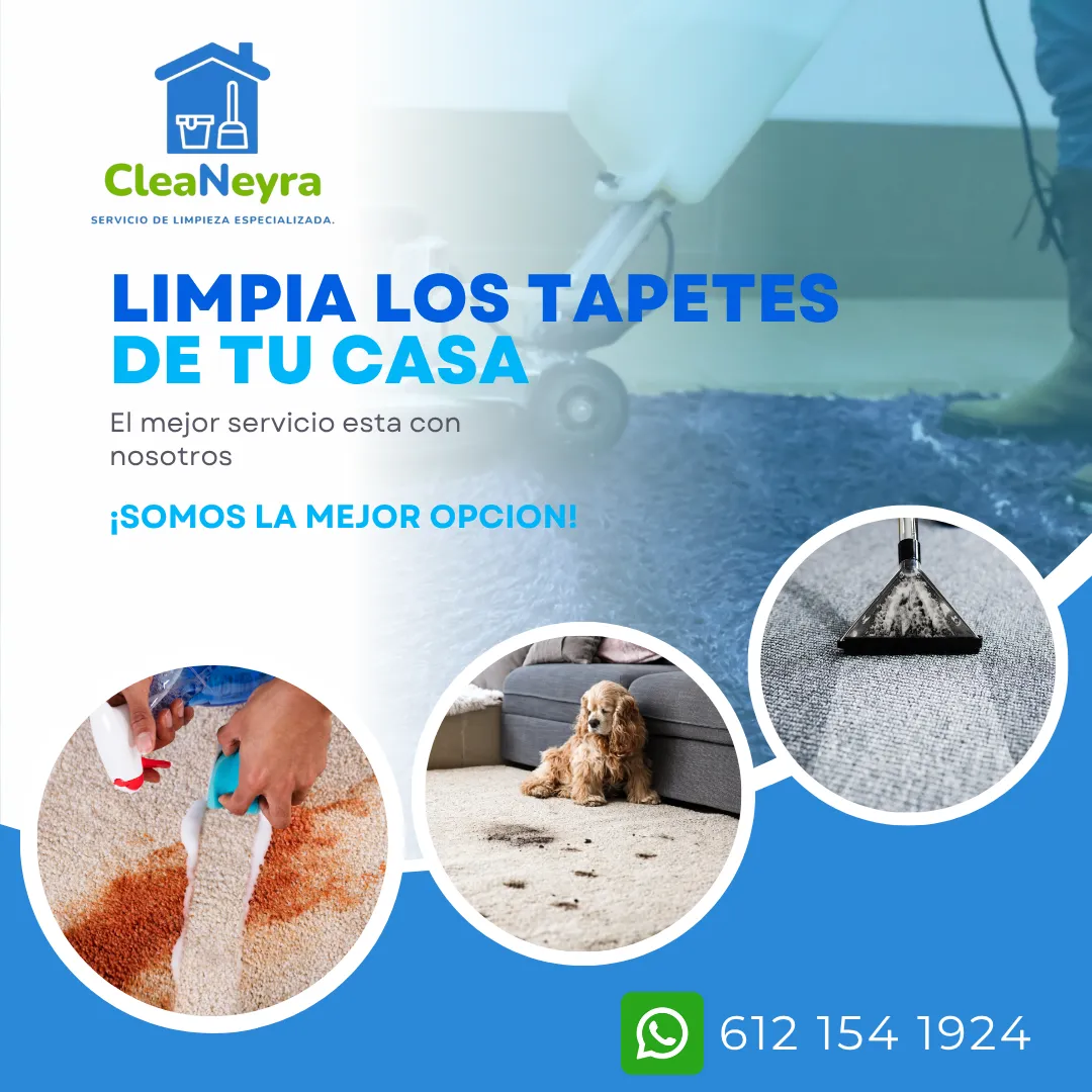 Diseño 6