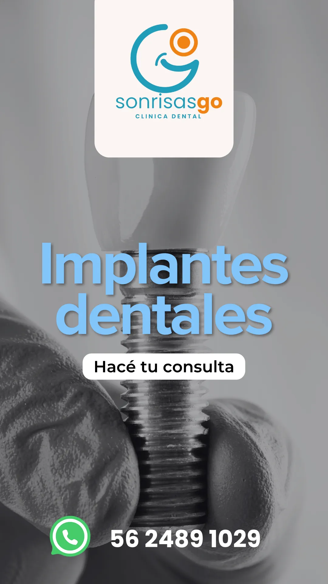 Diseño 31