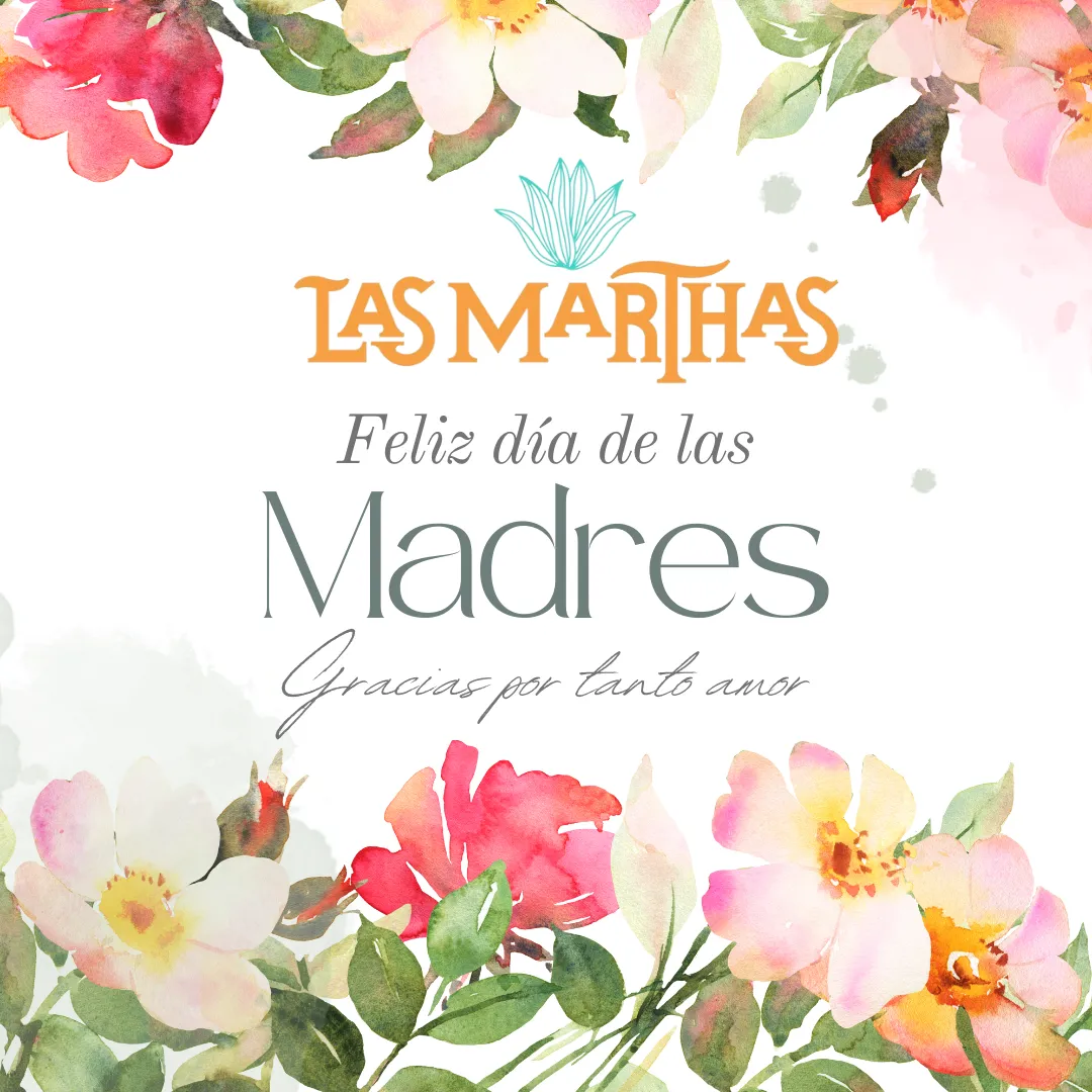 Diseño 63