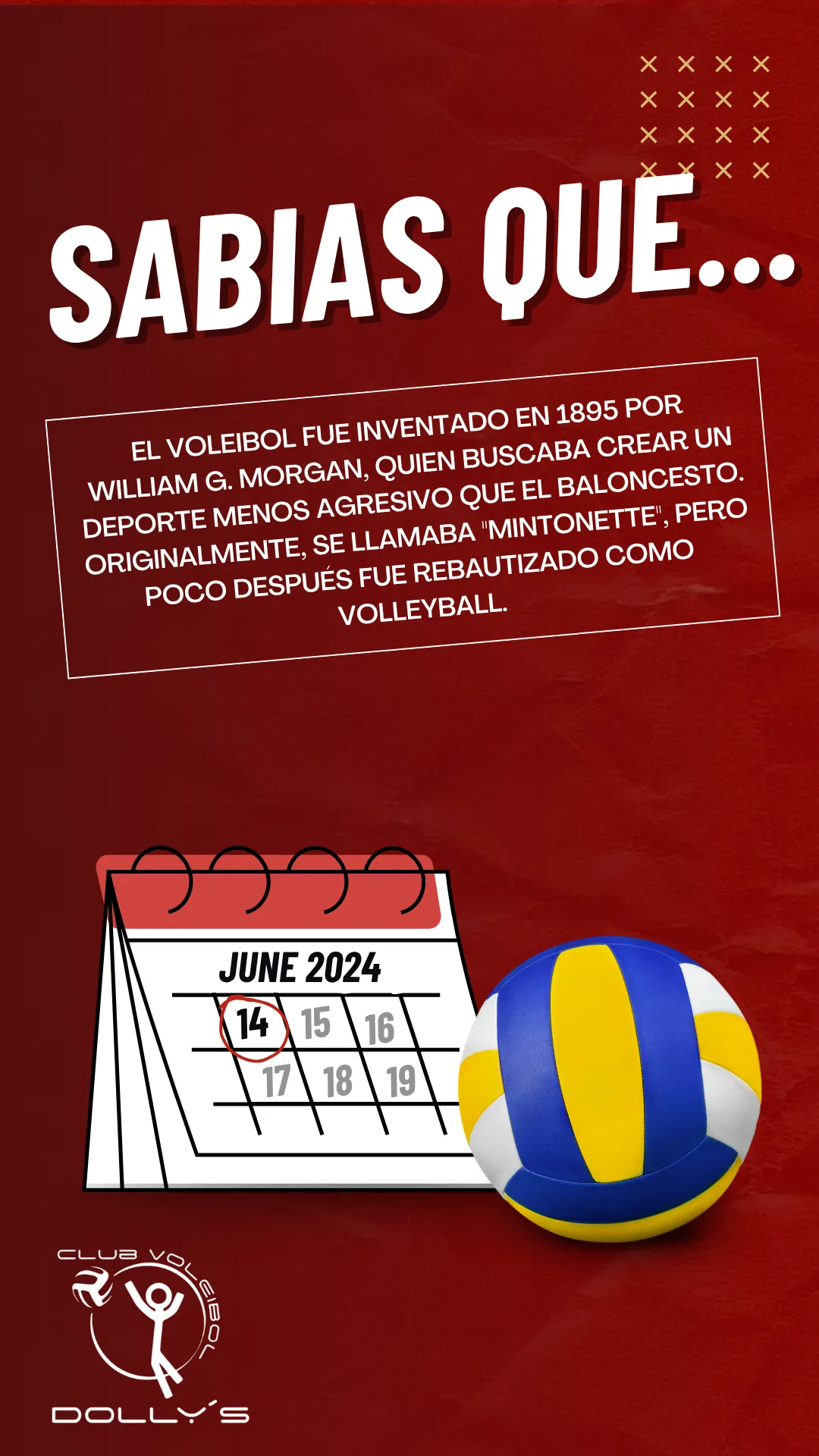 Diseño 5