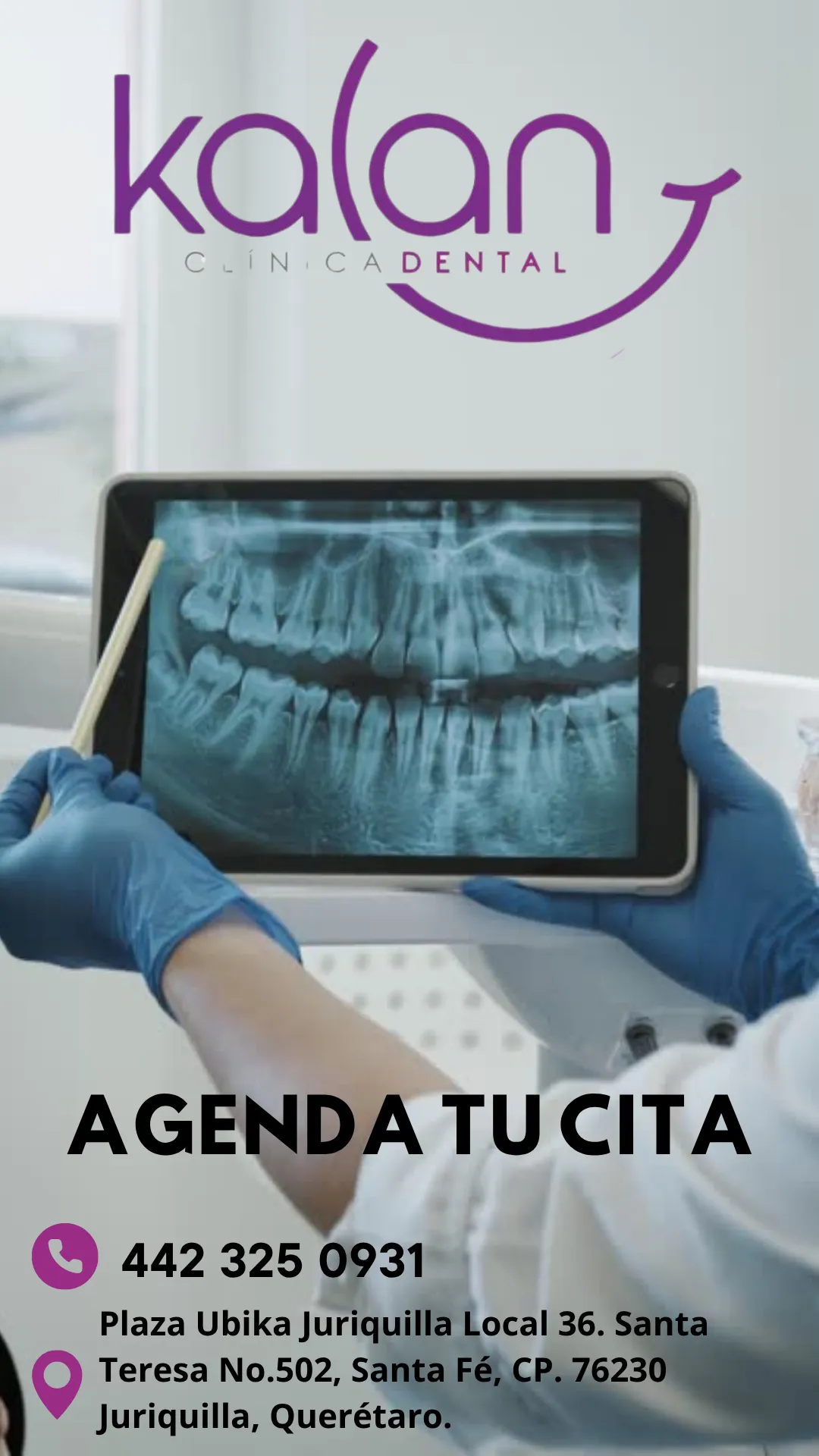 Diseño 43