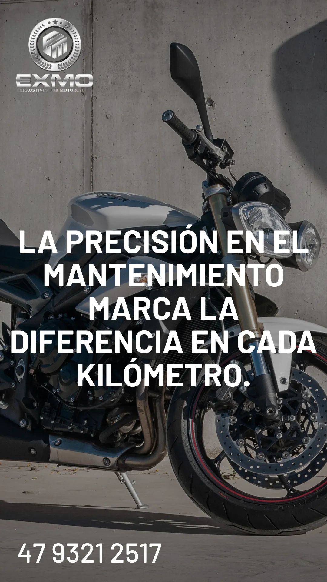 Diseño 16