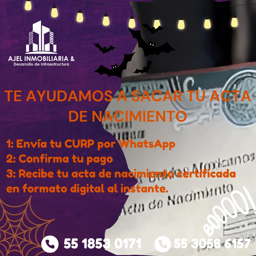 Diseño 50