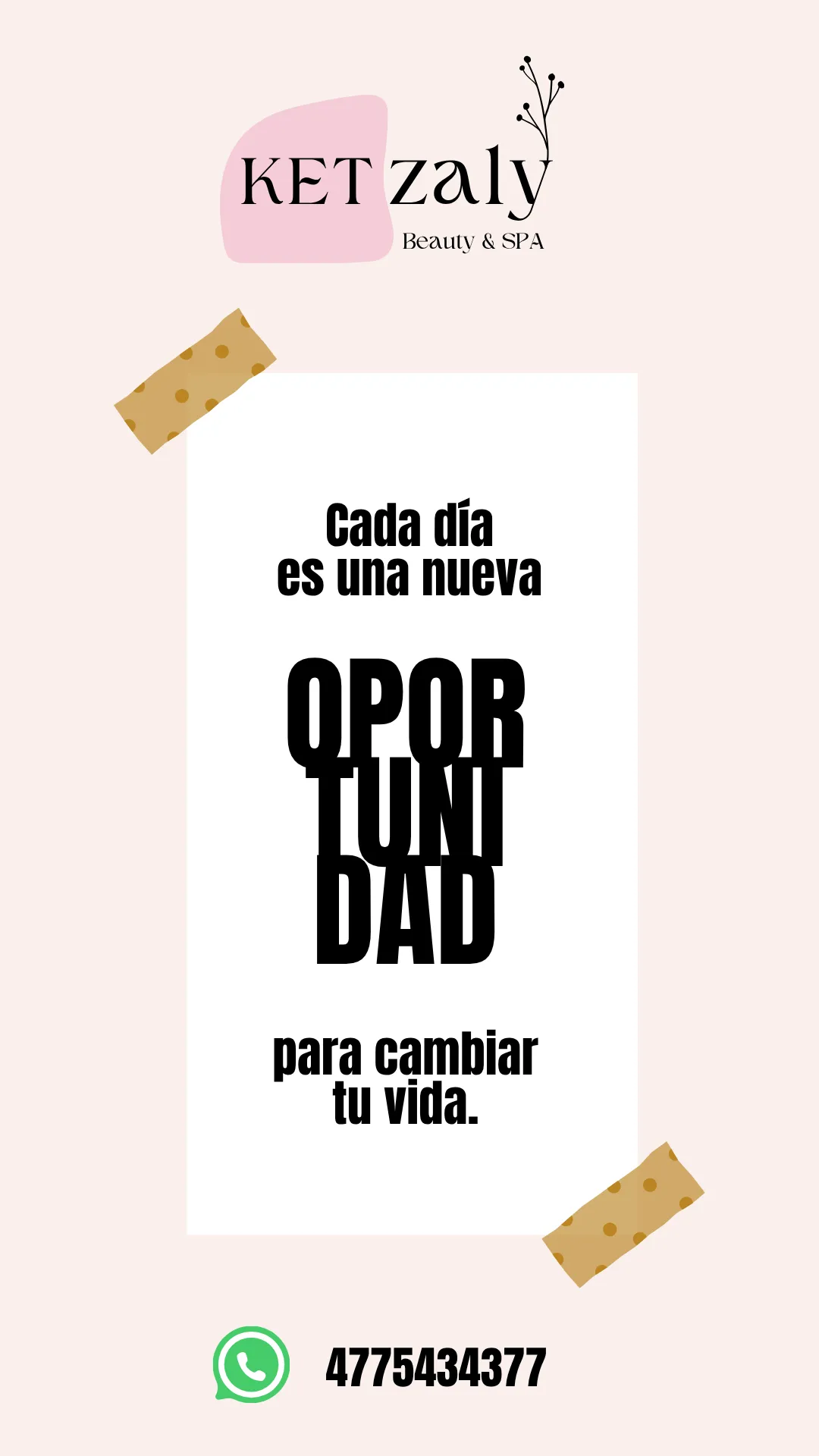 Diseño 120