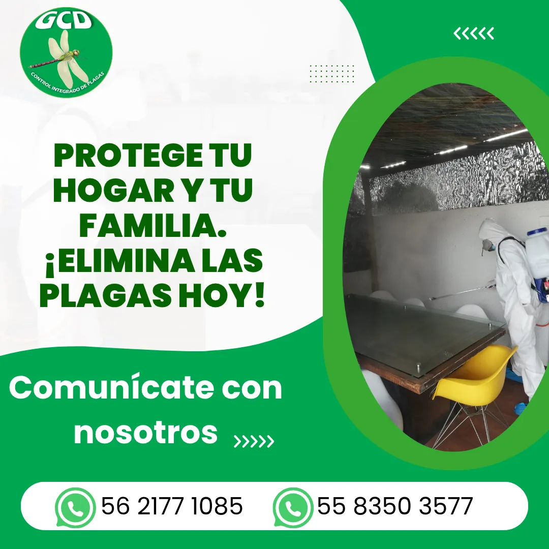 Diseño 39