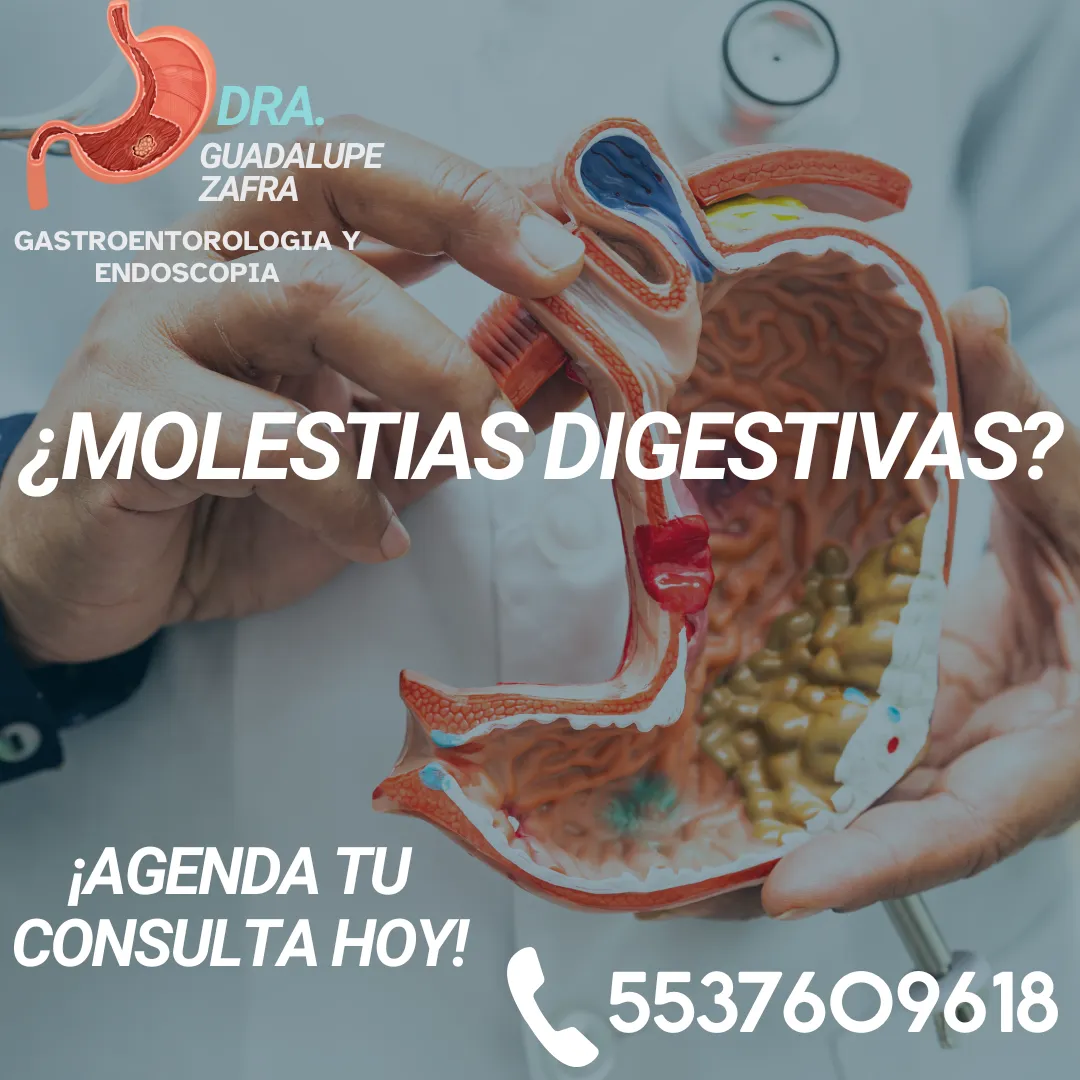 Diseño 17