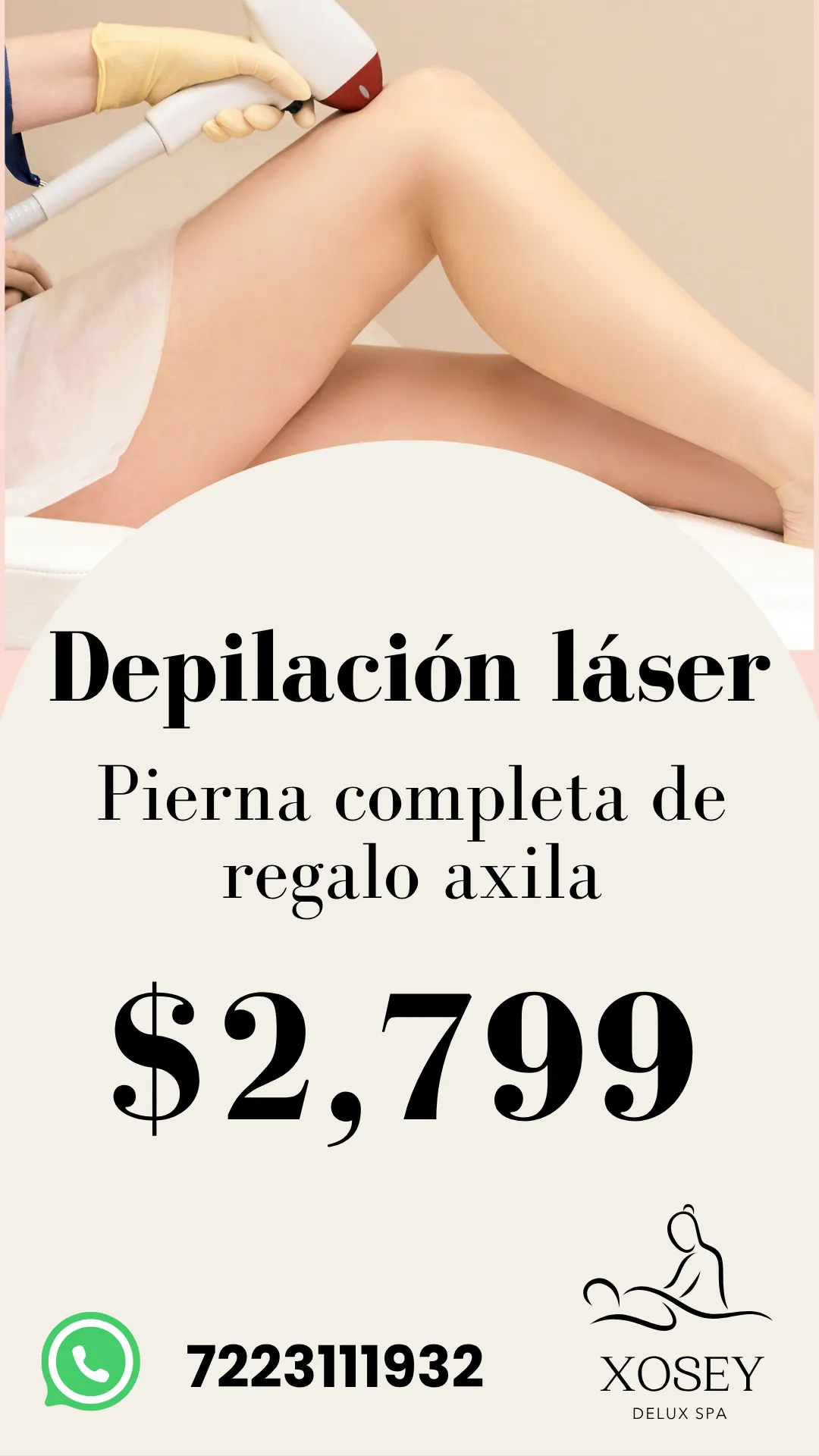 Diseño 13
