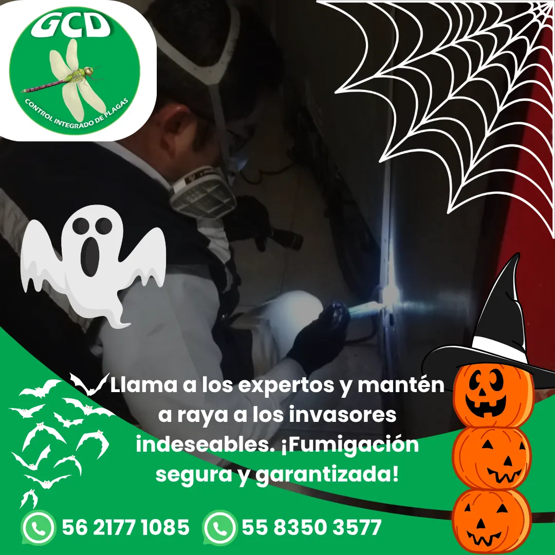 Diseño 114